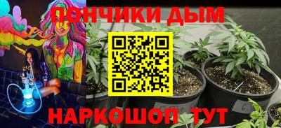 крисы Краснодар