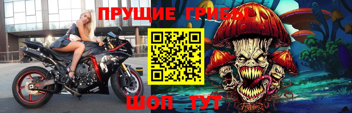 Галлюциногенные грибы мухоморы Корсаков