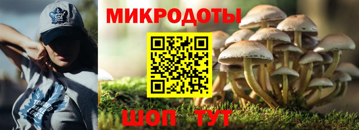 Псилоцибиновые грибы Psilocybine cubensis  Псилоцибиновые грибы Psilocybe  Вход с VPN  Корсаков 